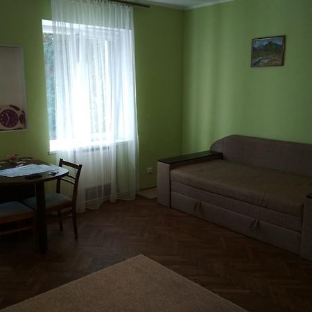 Like A Local Apartment Lwów Zewnętrze zdjęcie